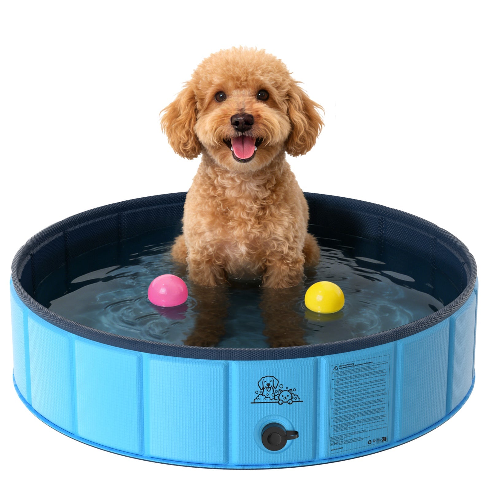 Splashing Fun: The Ultimate Guide to Choosing a Pool for Your Pet